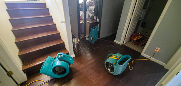 Professional Water damage restoration in Allison, IA