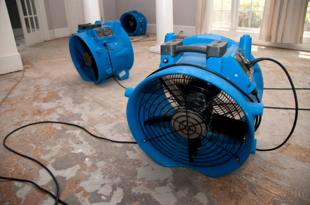 Best Flood damage cleanup  in Allison, IA