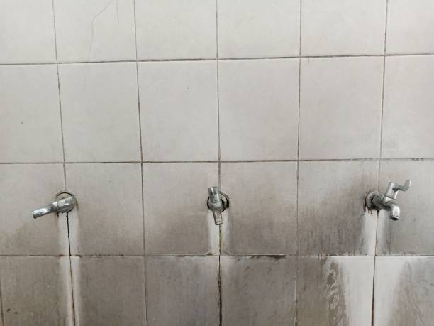 Best Water damage restoration specialists  in Allison, IA