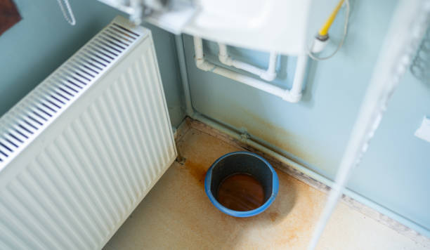 Best Mold removal after water damage  in Allison, IA