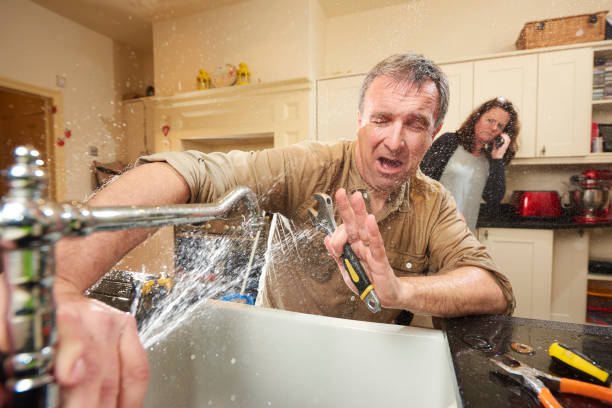 Best Water damage cleanup near me  in Allison, IA